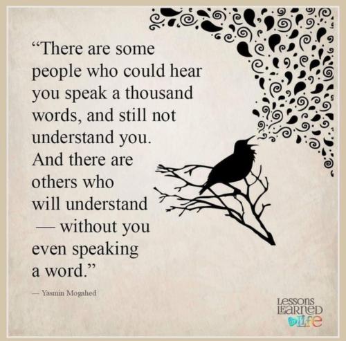 Screenshot_2022-11-11-01-02-52-13_1c337646f29875672b5a61192b9010f9