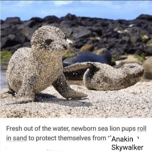 10:47:08 GMT-0400 (Eastern Daylight Time).image