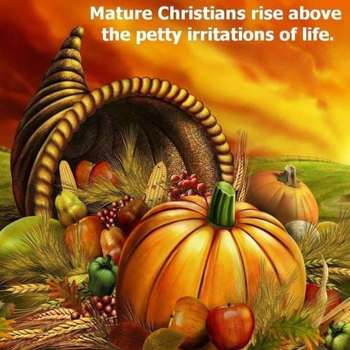 FB_IMG_1668604370830