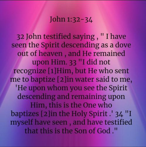 Screenshot_20221105-095049_Bible