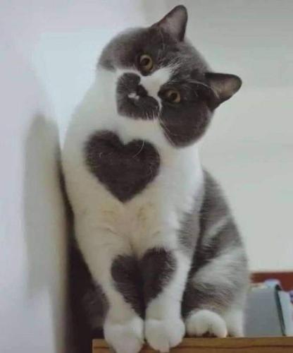 FB_IMG_1668189559619