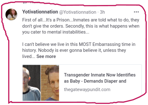 snapshot_www.minds.com_1667868037361