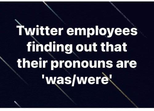 FB_IMG_1667440249869