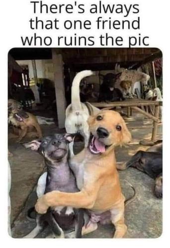 314361143_10229978934284056_4831201814799644011_n