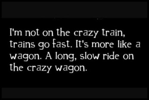 tumblr_dbe4bae37ae1642a29bae08058e14c18_df855c1b_540