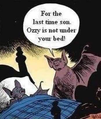 FB_IMG_1667592642439