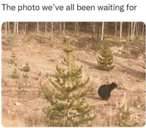 tumblr_89fe9317d35fb31d62da9111ca82720e_8e829e07_1280