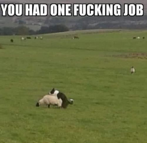 315884867_3269565293306261_28746740574281732_n