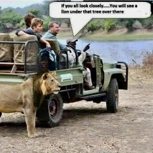 313403687_5538339629595198_644446901256265952_n