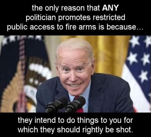 the only reason that ANY politician promotes restricted public access to fire arms is because