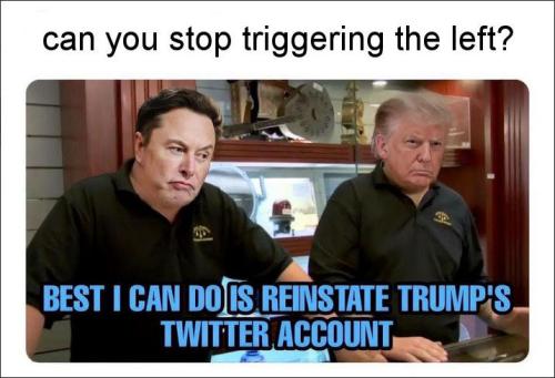 twitter31