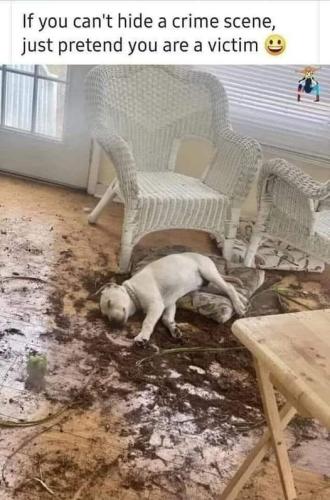 314959219_10223027008323500_2094485443733700594_n