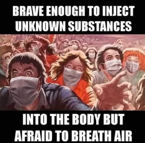 89AB749A-C938-42FD-B937-E764042D5433-79575-00000E7EE01C85AE