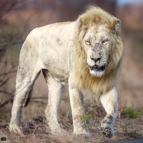 316132735_5720160591378284_80252787446436943_n