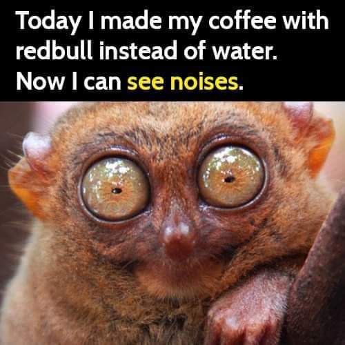 FB_IMG_1604027634876