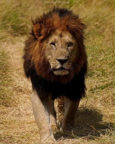 315967500_575508281046780_3446420188378007833_n