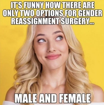 gender13