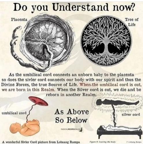 Screenshot_2022-11-26-23-03-55-88_1c337646f29875672b5a61192b9010f9