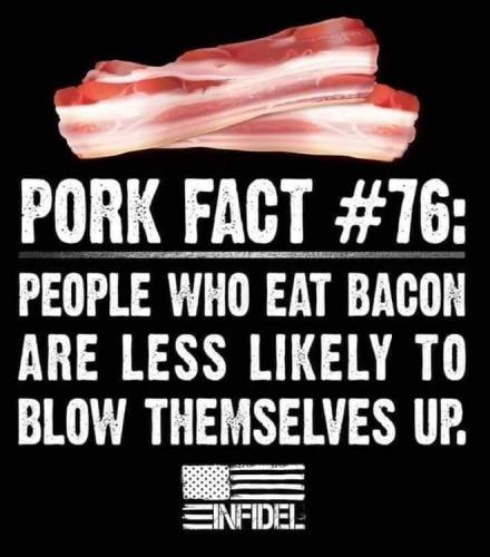 FB_IMG_1668461368455
