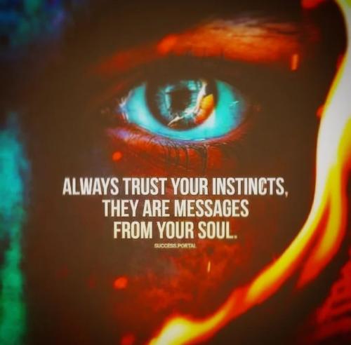 Screenshot_2022-11-07-17-34-19-38_1c337646f29875672b5a61192b9010f9