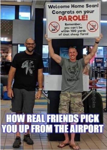 FB_IMG_1668546282599