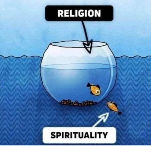 Screenshot_2022-11-11-03-14-11-06_1c337646f29875672b5a61192b9010f9