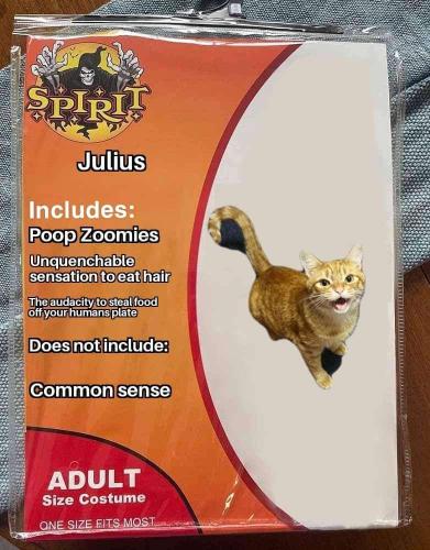 b43b947d-17e8-463a-ad98-751aca4c20fb