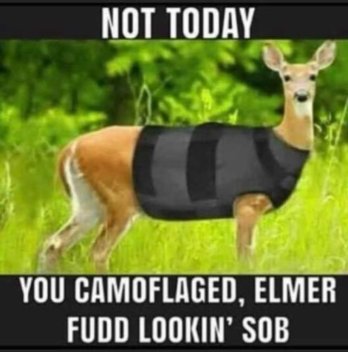 FB_IMG_1669353945500