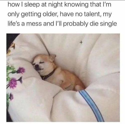 316286547_644515590714093_1853790853653363980_n