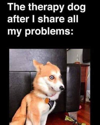 315564681_10160103234580482_3545061970750626205_n