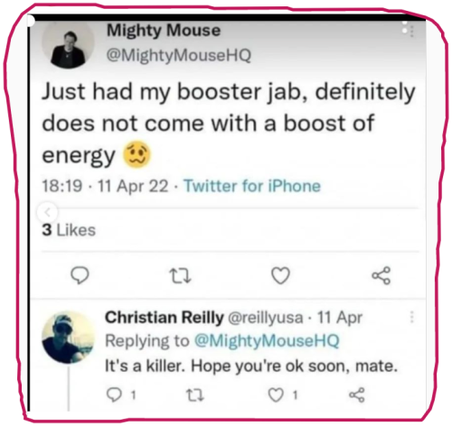 snapshot_www.instagram.com_1668053764913