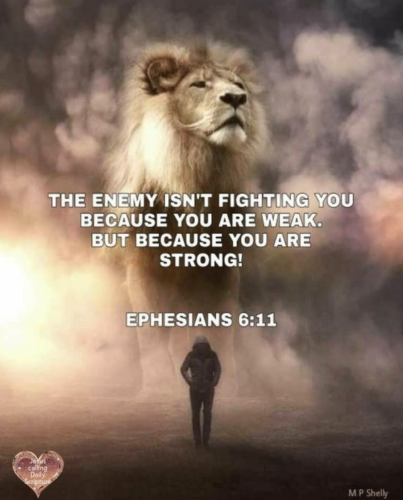 09:01:06 GMT-0400 (EDT)