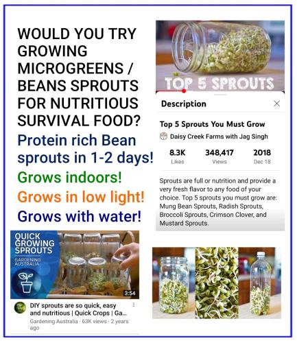 08:53:28 GMT-0500 (EST)