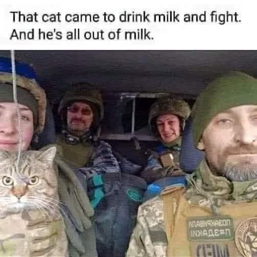 IMG_20221110_203123_424