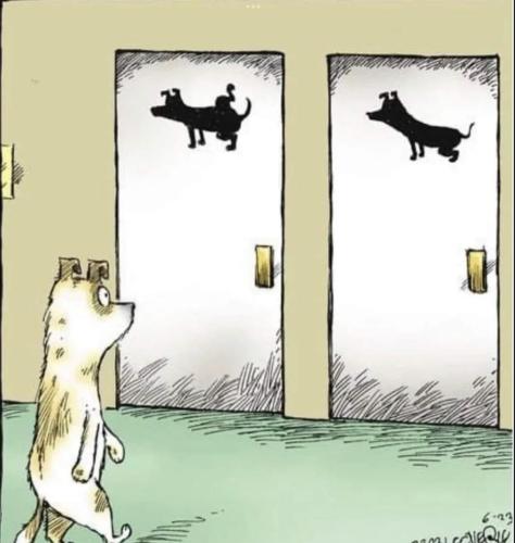 3891757A-576D-4615-9AFE-308344D074CC