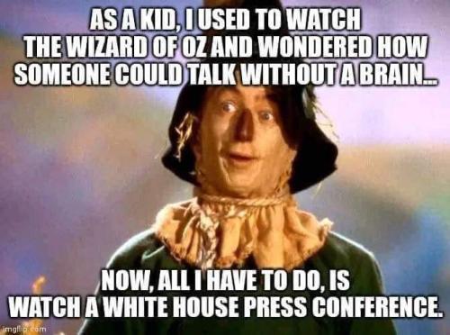 FB_IMG_1668187582836