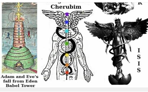 Screenshot_2022-11-26-08-28-32-50_1c337646f29875672b5a61192b9010f9