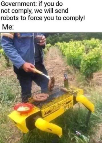 FB_IMG_1667834806580