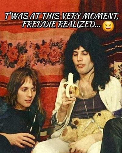FB_IMG_1669308961262