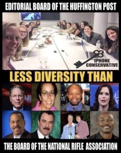 nra_vs_huffington_post_diversity