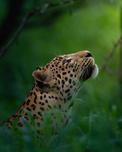 tumblr_0b2e08638850f243eab3d2447ab7e2b6_3f0bcc29_540