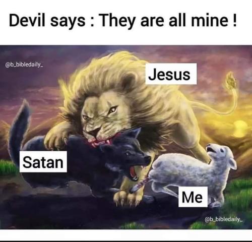 FB_IMG_1655244156583