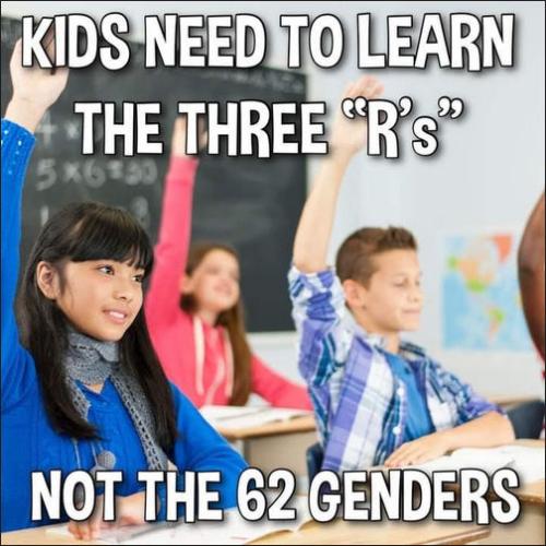 gender15