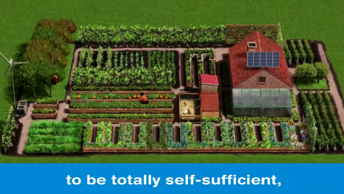 The Self-Sufficient Backyard For The Independent Homesteader.