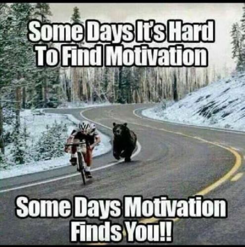 tumblr_pvc8za12Cb1s6lzfwo1_540