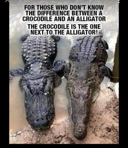 IMG_20221110_203142_764