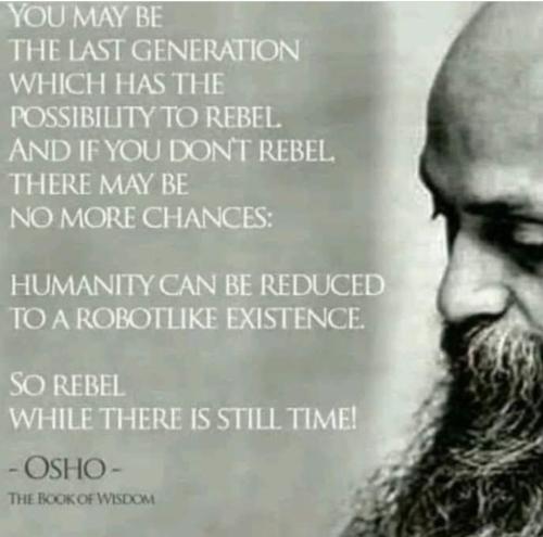 Screenshot_2022-11-11-02-29-25-20_1c337646f29875672b5a61192b9010f9