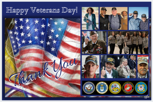 VeteransDay_2021