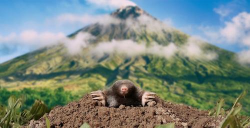 Mole-Hill-Mountain-869x446