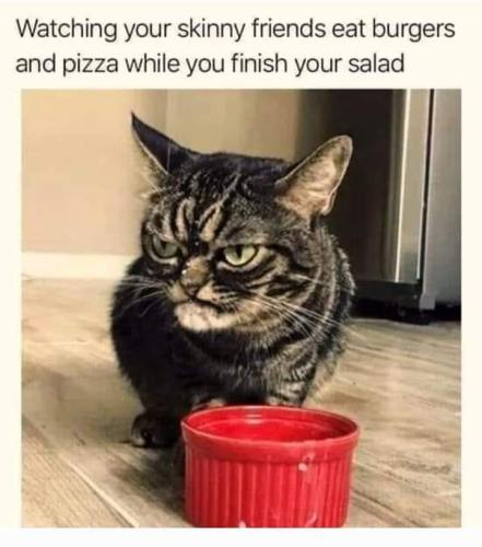 FB_IMG_1668190978982